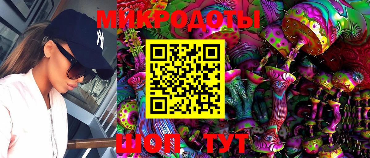 Галлюциногенные грибы Psilocybe Азнакаево