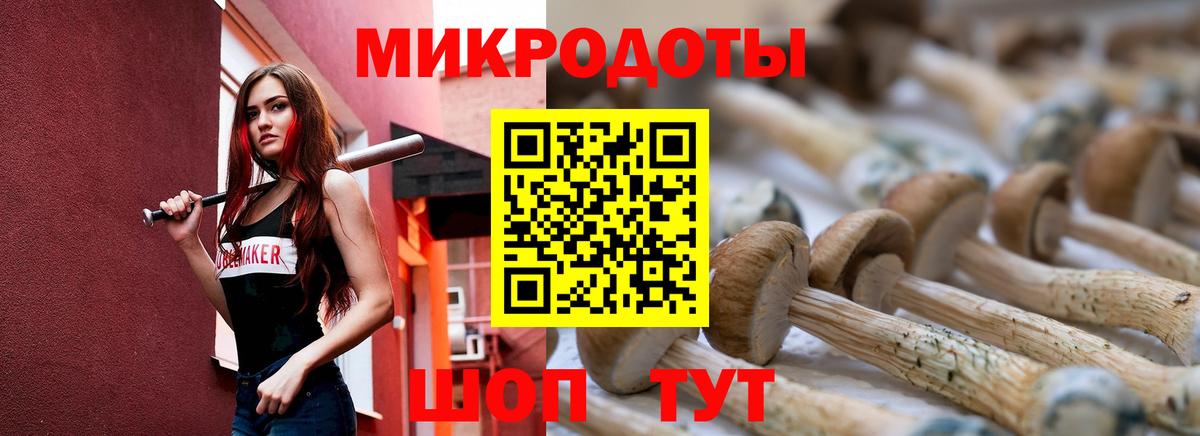 Азнакаево  Псилоцибиновые грибы прущие грибы  Вход с VPN 